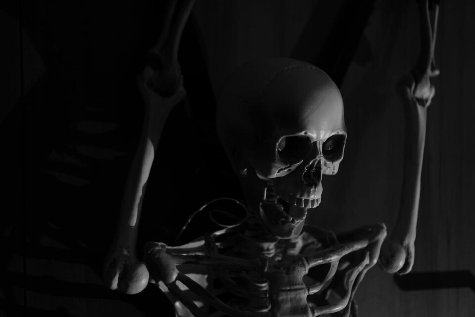 IMG-20231030-WA0010.jpg - LuLu721