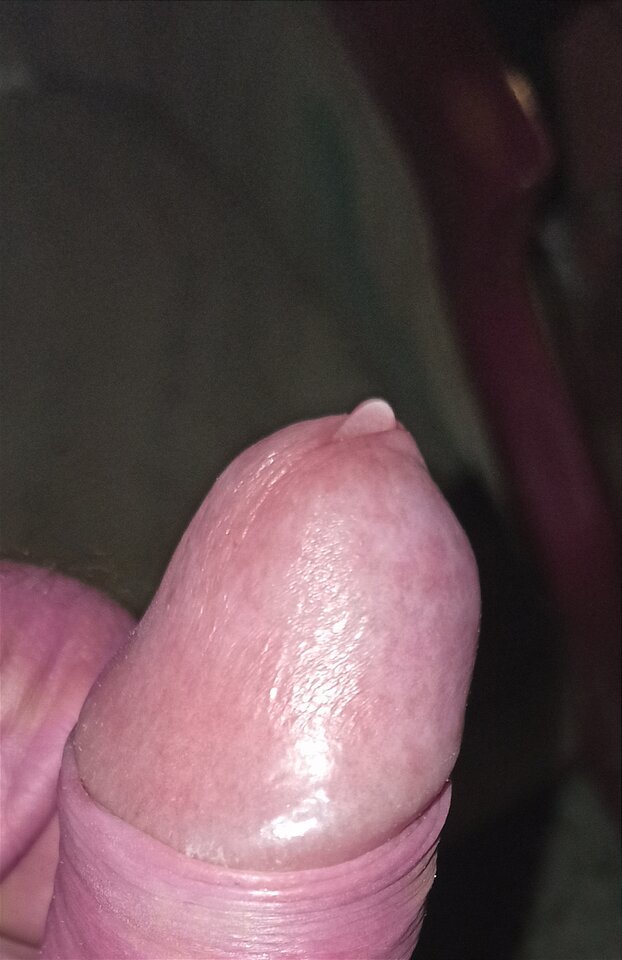 IMG_20231030_192720.jpg - artur42wawa