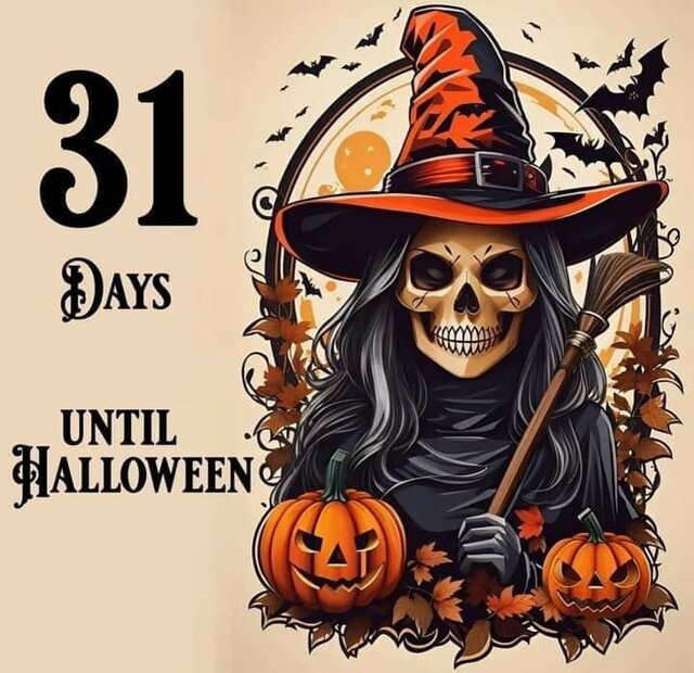 398096963_3287123894751605_4105654160538981385_n.jpg - Szkp1973