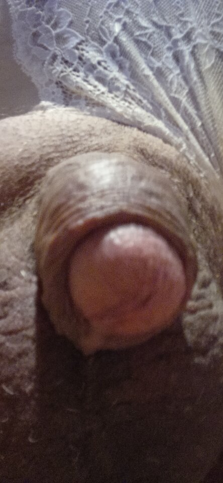 IMG_20231031_202650.jpg - Thomas57