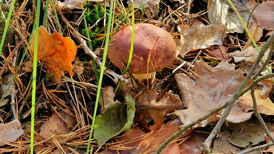 20231029_134745.jpg - Impulss_y