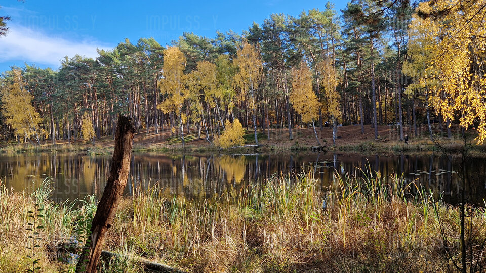 20231029_131508.jpg - Impulss_y