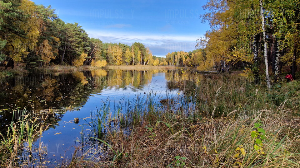 20231029_142412.jpg - Impulss_y