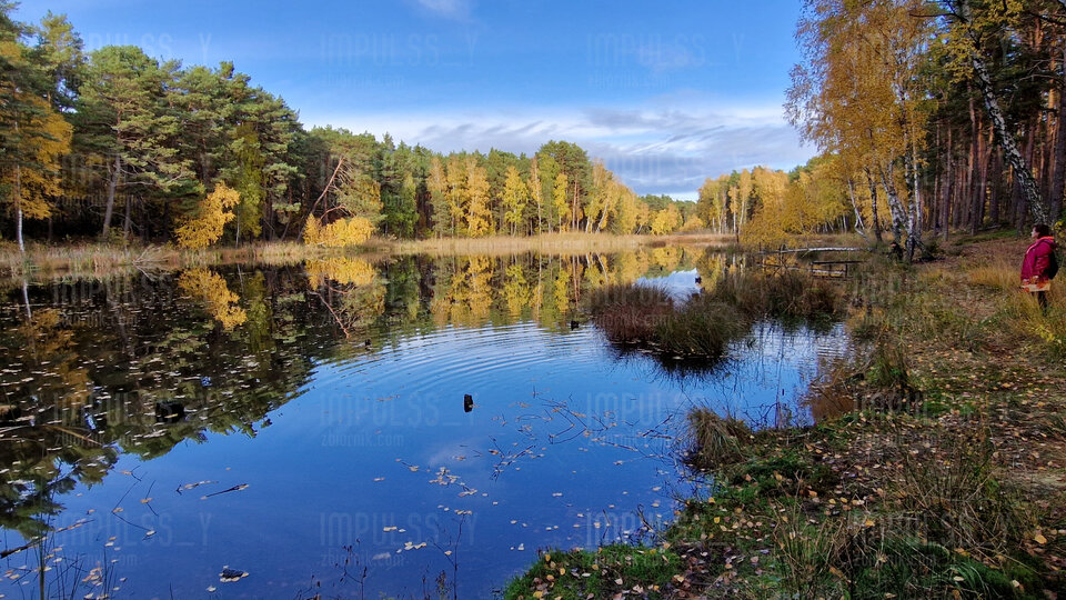 20231029_142040.jpg - Impulss_y