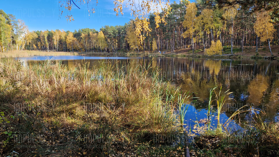 20231029_131351.jpg - Impulss_y