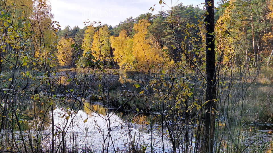 20231029_135339.jpg - Impulss_y