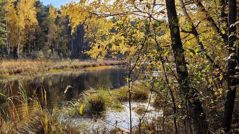 20231029_133105.jpg - Impulss_y