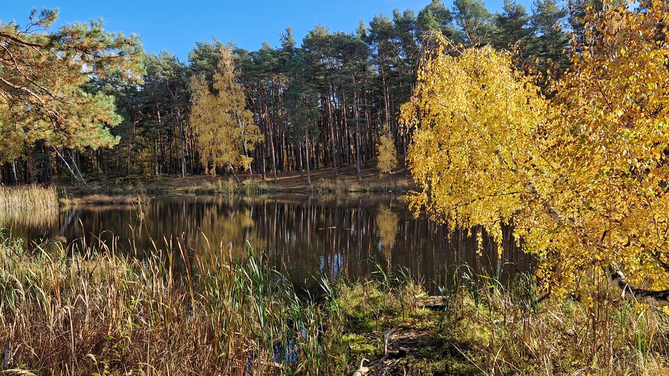 20231029_131735.jpg - Impulss_y