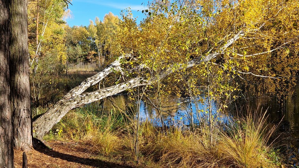 20231029_133955.jpg - Impulss_y