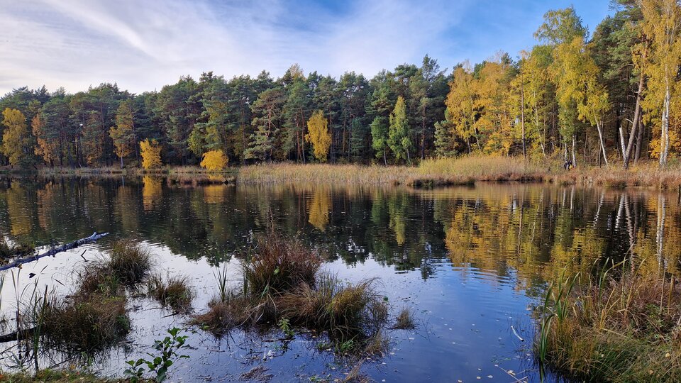 20231029_141239.jpg - Impulss_y