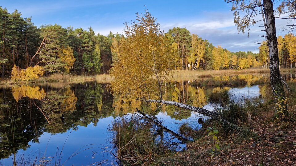 20231029_141840.jpg - Impulss_y