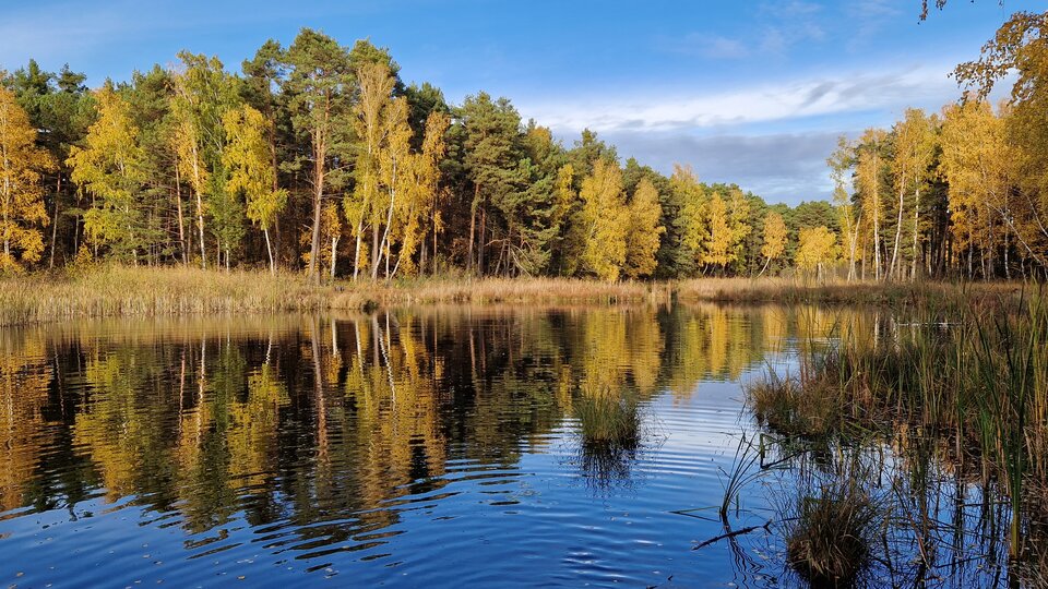 20231029_141608.jpg - Impulss_y