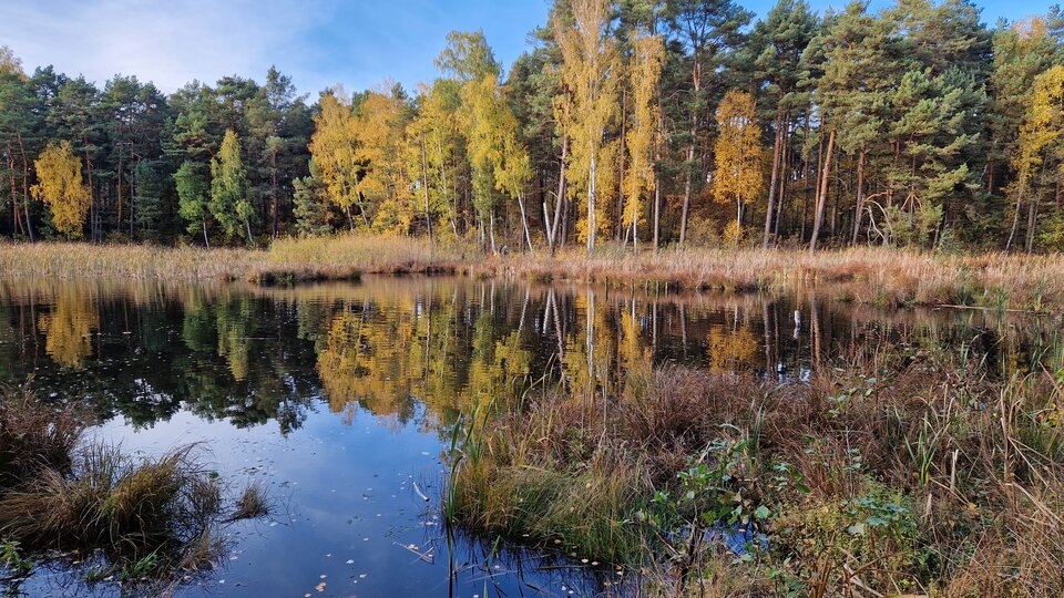 20231029_140312.jpg - Impulss_y