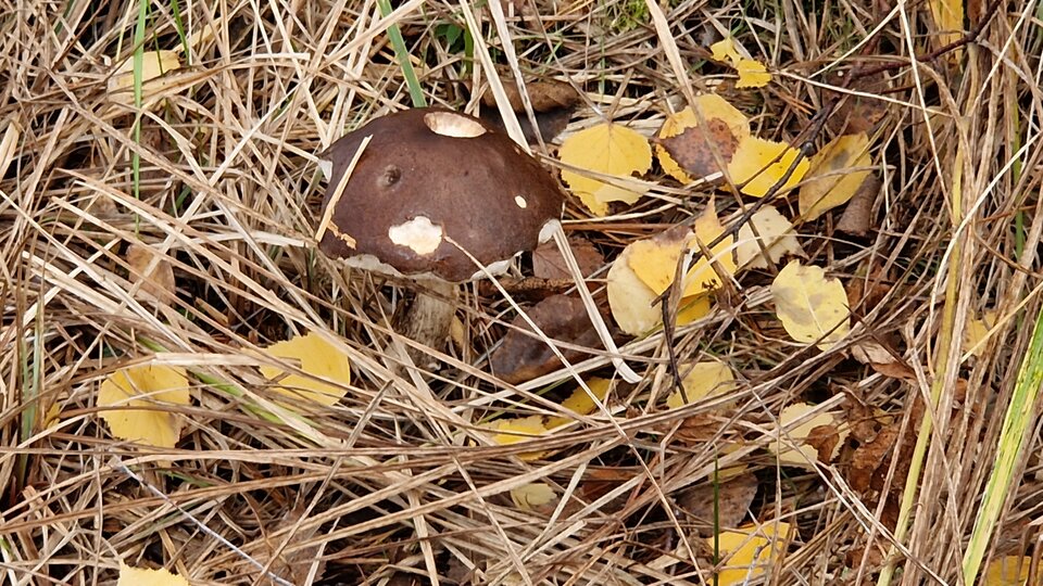 20231029_142539.jpg - Impulss_y