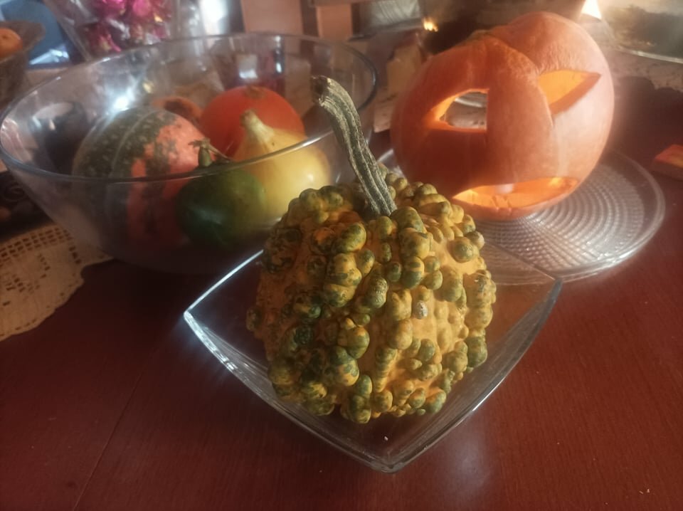 dynia.jpg - grabi_en