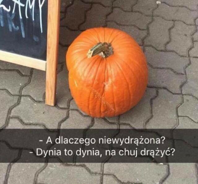 FB_IMG_1698846513554.jpg - jarex99