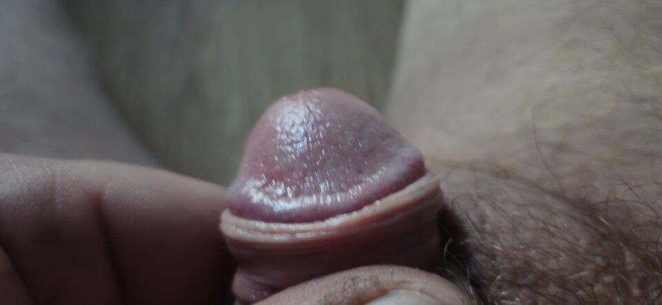 1000001227.jpg - totylkoja78