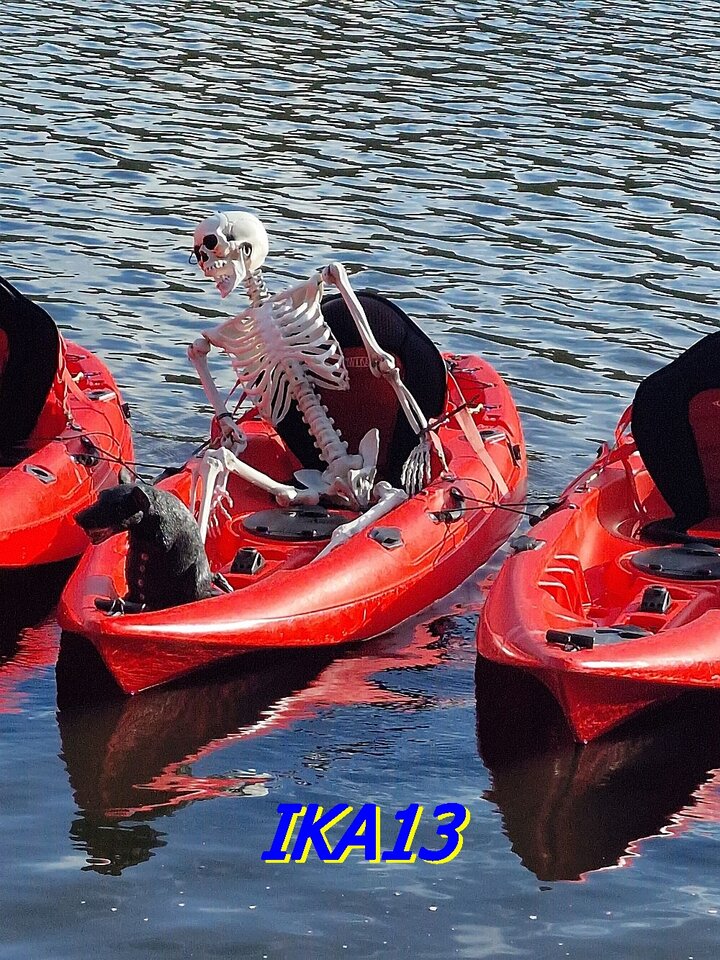 20231029_104543.jpg - ika13