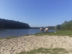 20231014_125048[1].jpg