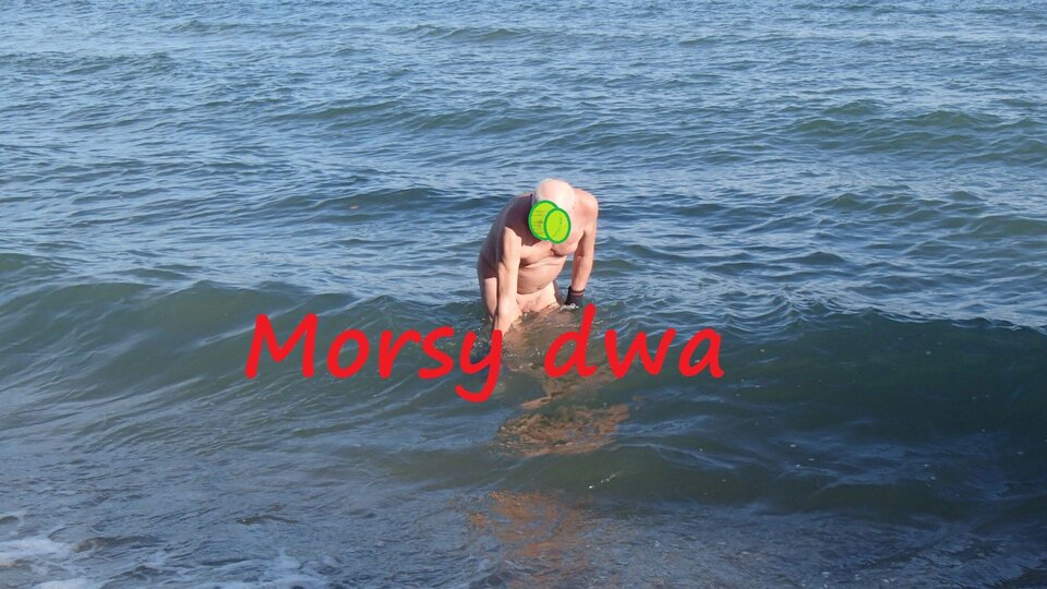 Zbiornik 2272. - Morsy_dwa