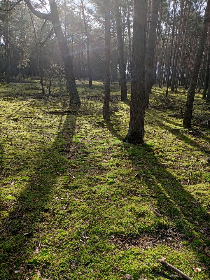 IMG20231102095644.jpg - Patrze_w_niebo