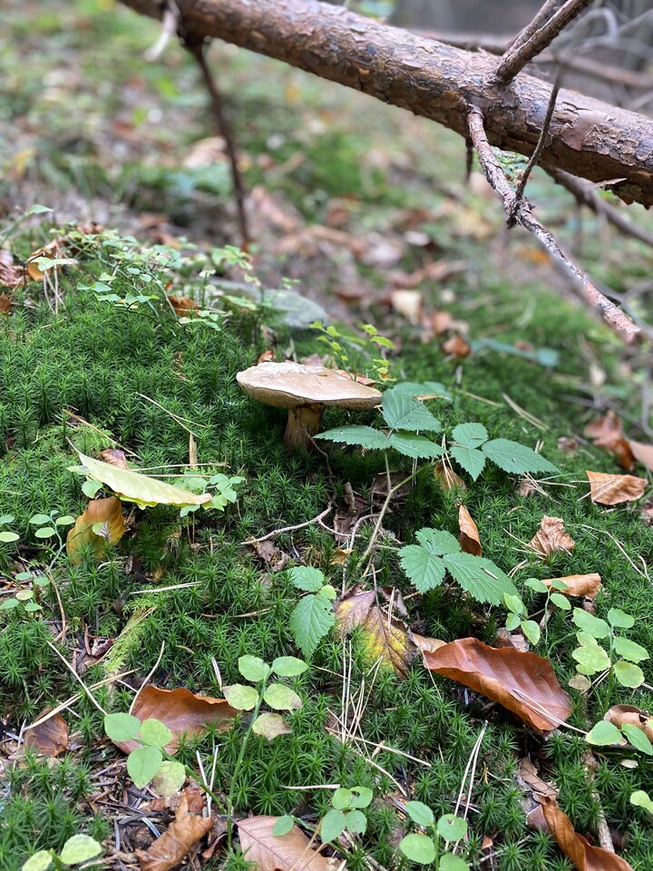 IMG_7073.jpeg - May_Day