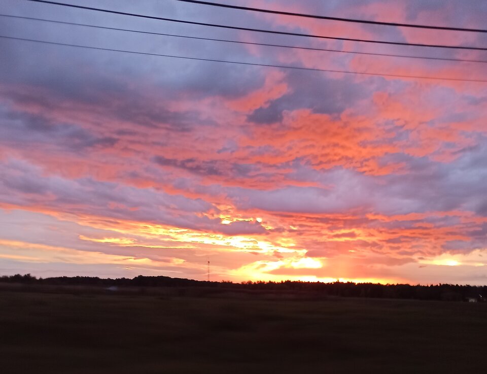 IMG_20231103_110416.jpg - _Pure__Evil_