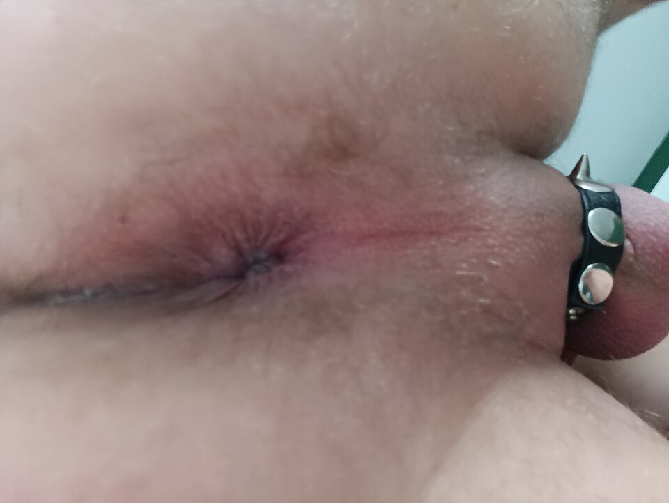 IMG_20231103_112543.jpg - GDMichu