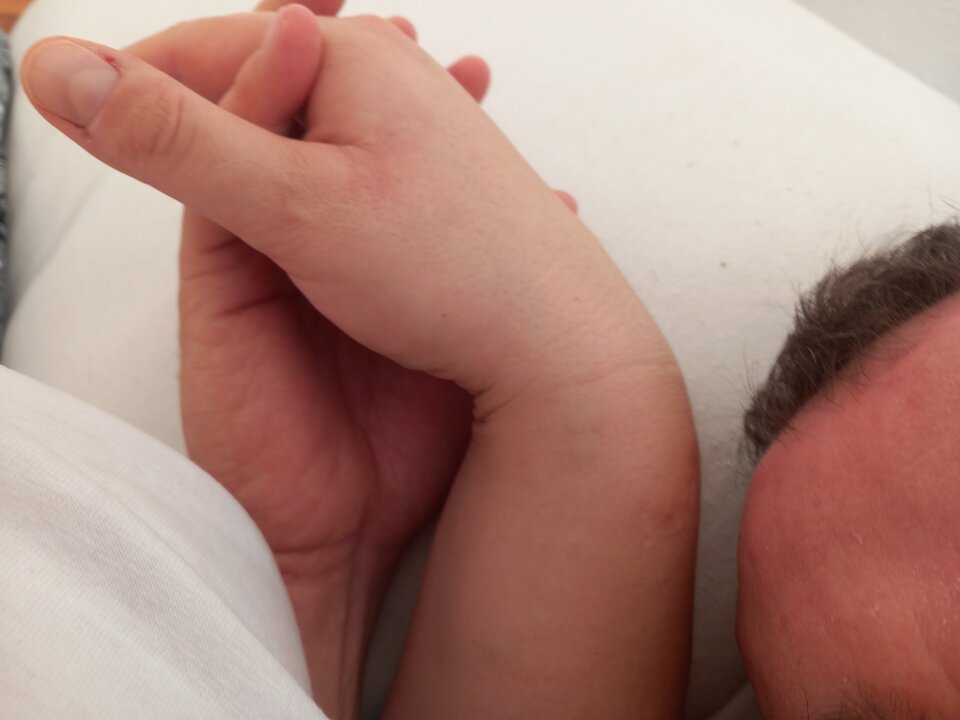 20231101_144356.jpg - FaustSirin