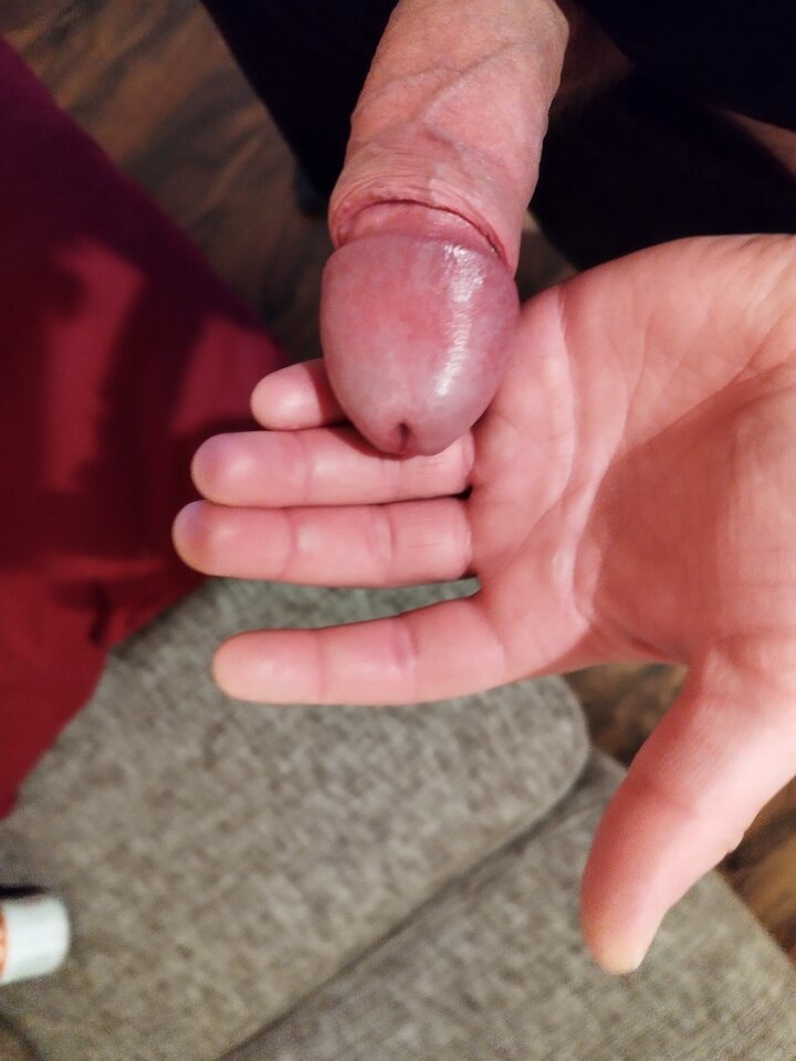 IMG_20231104_025033.jpg - Sssbrs