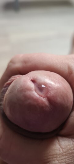 20231104_122654.jpg