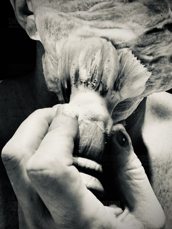 Ripp_of_the_skin.jpeg - sirdemon