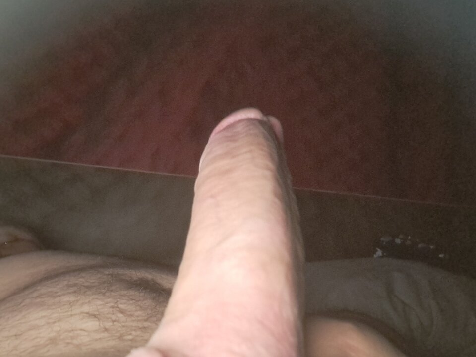 20231105_061625.jpg - rafal1410