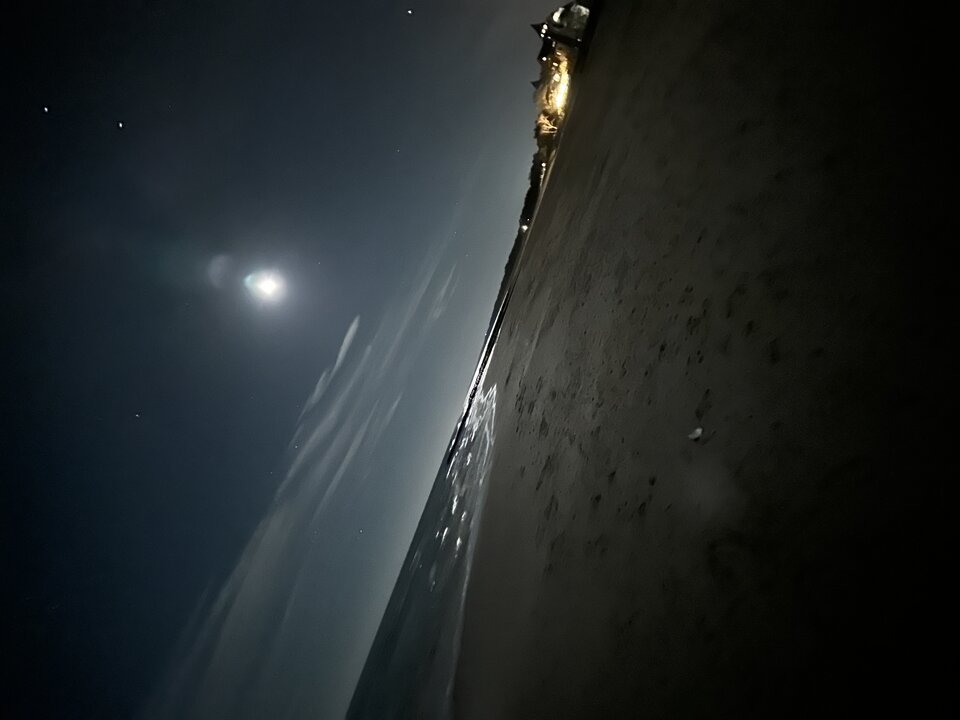 IMG_0530.jpeg - MalaMi2811