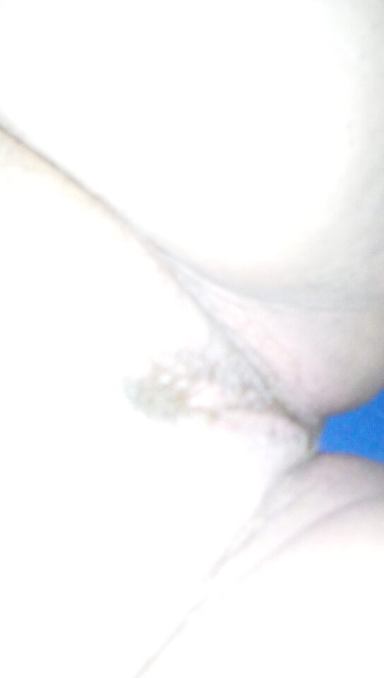 IMG_20231105_081055.jpg - grazkagreg7573