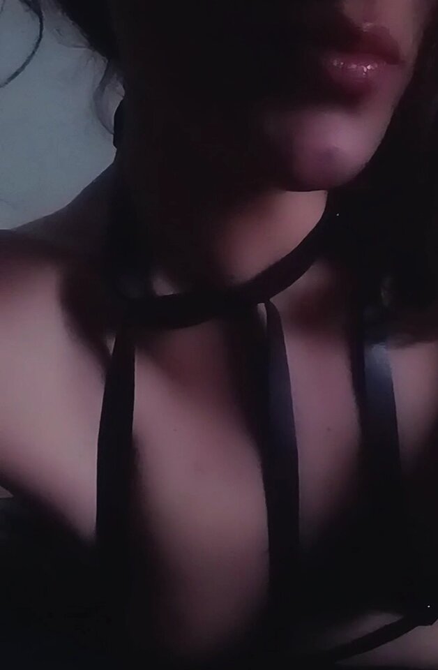 IMG_20230729_045001.jpg - StingingBee