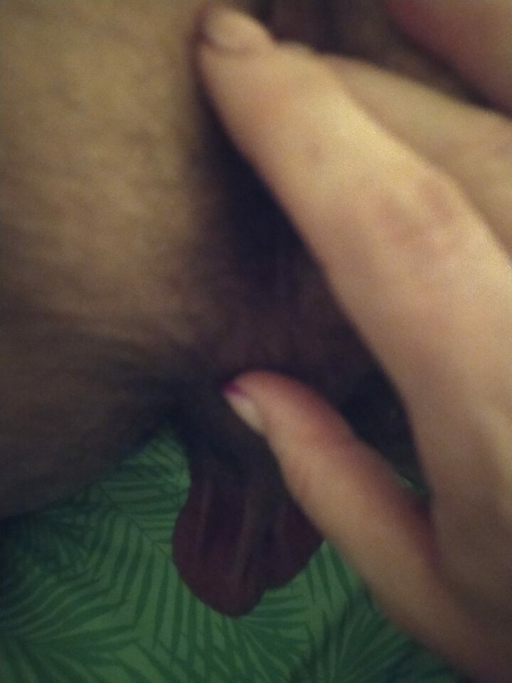 IMG-20231106-WA0011.jpg - miroxs