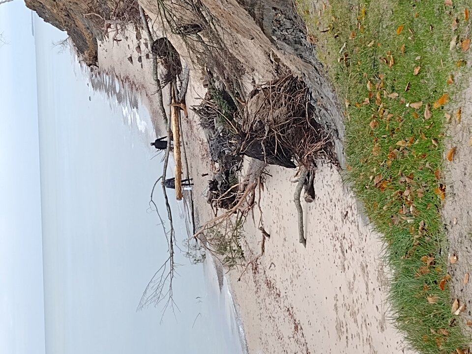 IMG_20231105_113803856.jpg - Ponury48bis