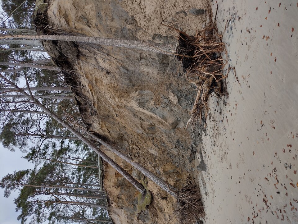 IMG_20231105_115631009_HDR.jpg - Ponury48bis