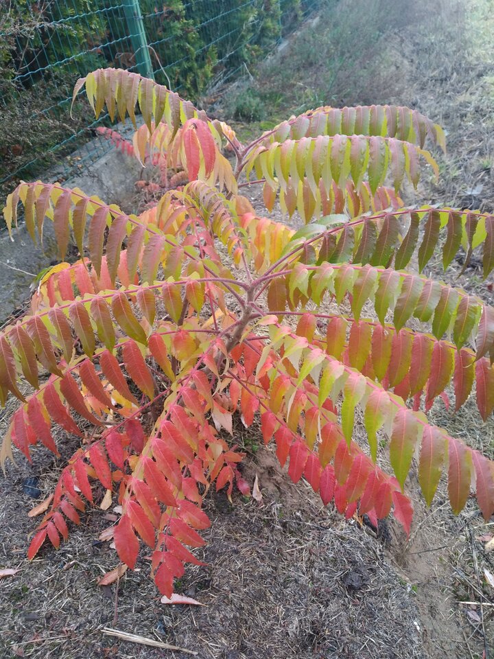 IMG_20231022_154130.jpg - Malyzbok1