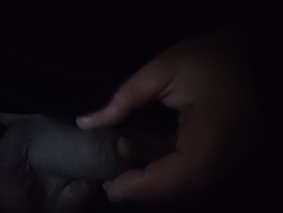 16992953092203115669573450680006.jpg - Ales777