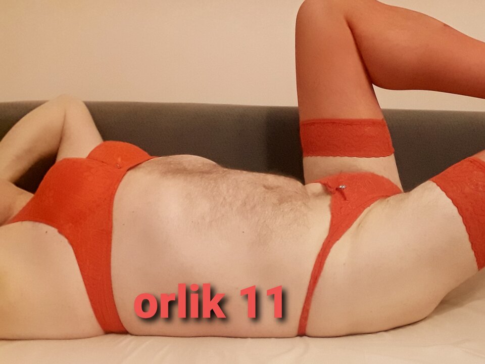 20231107 - orlik11