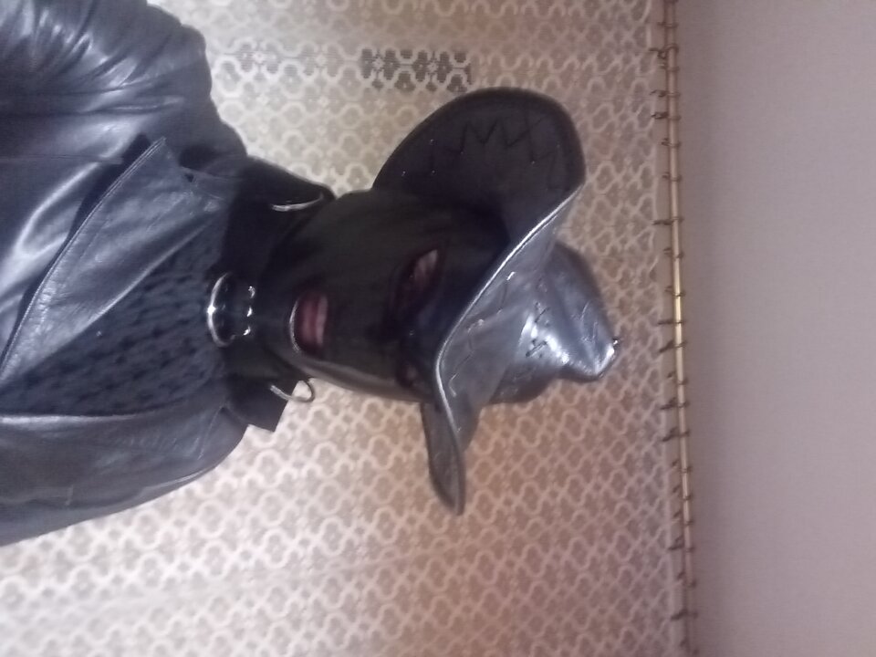 20231102_173544.jpg - SimonaTrans