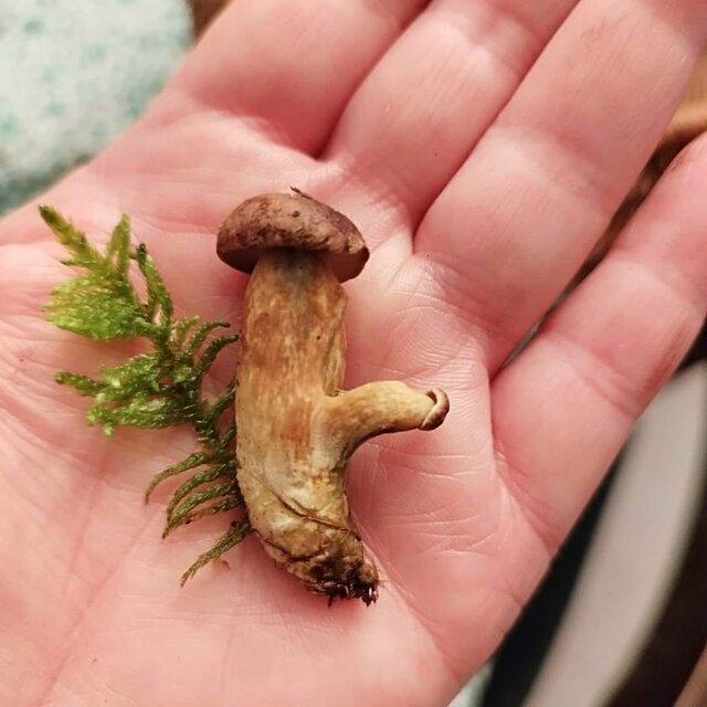 sezon na ... - gregi221