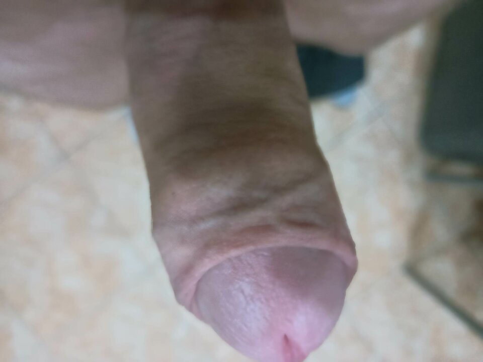 received_205952972022306.jpeg - Boniemajuznic