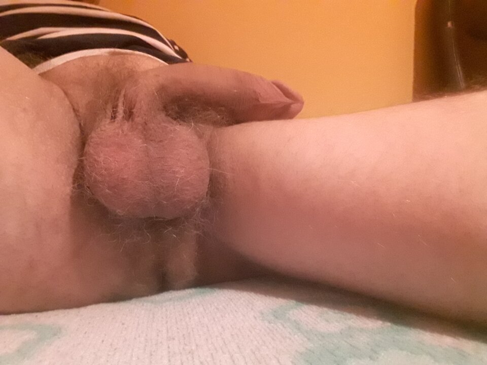 20231108_043355.jpg - brus13