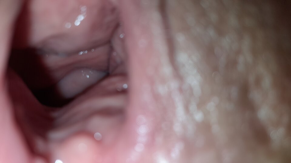 20231107_054439.jpg - kusy13