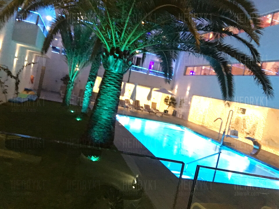 IMG_6016.jpeg - Henryk1