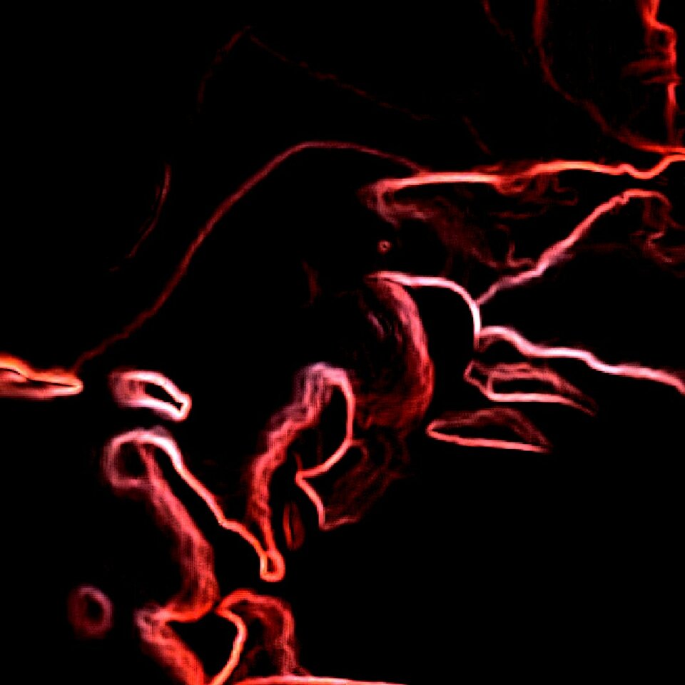 cameringo_20231109_063518.jpg - NicponieFest