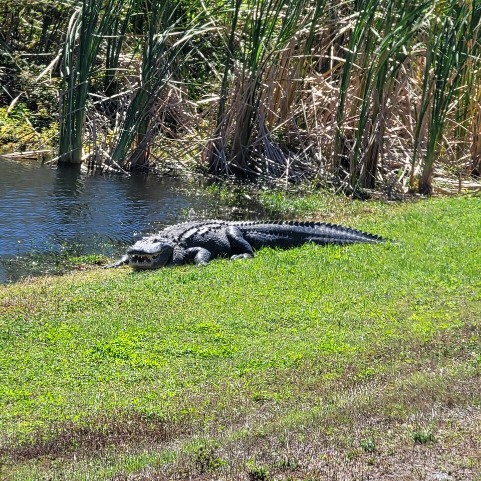 IMG_20230303_110512_290.jpg - siwyusa